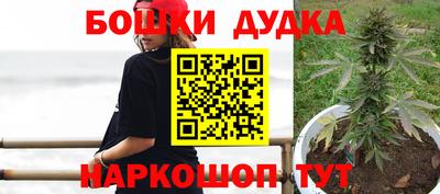 a pvp Свободный